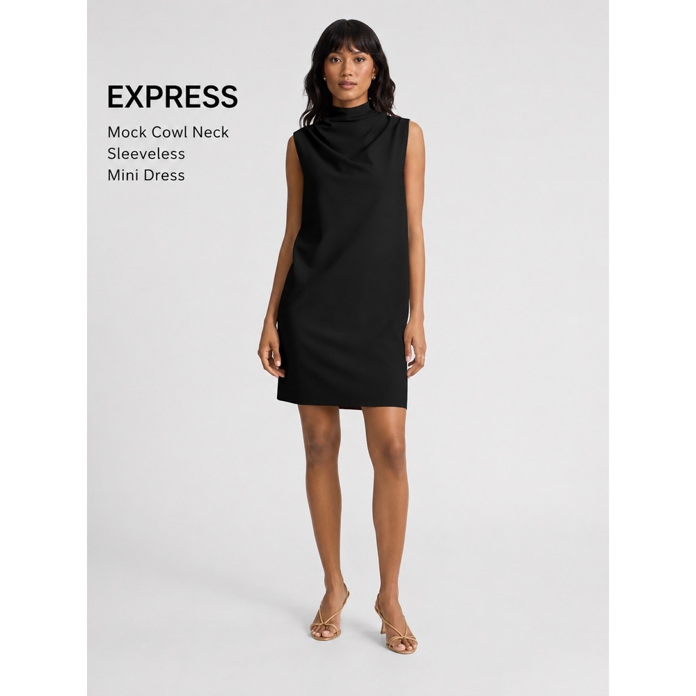 Express Black Mock Cowl Neck Sleeveless Mini Dress